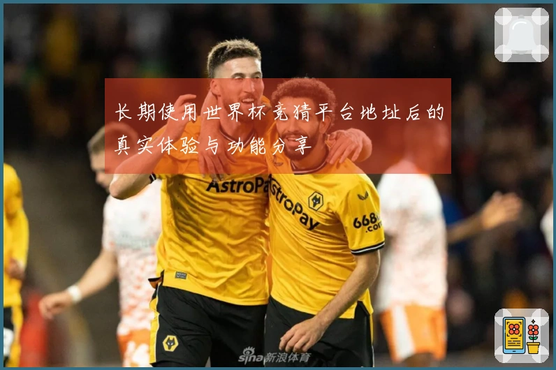 长期使用世界杯竞猜平台地址后的真实体验与功能分享