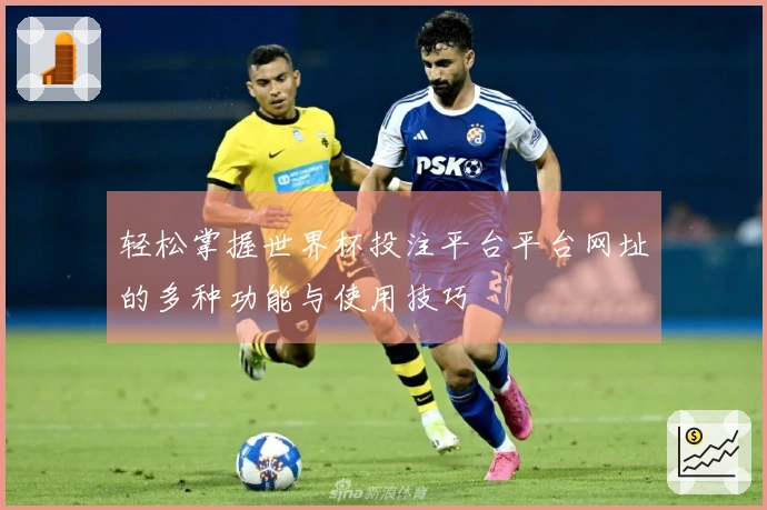 轻松掌握世界杯投注平台平台网址的多种功能与使用技巧