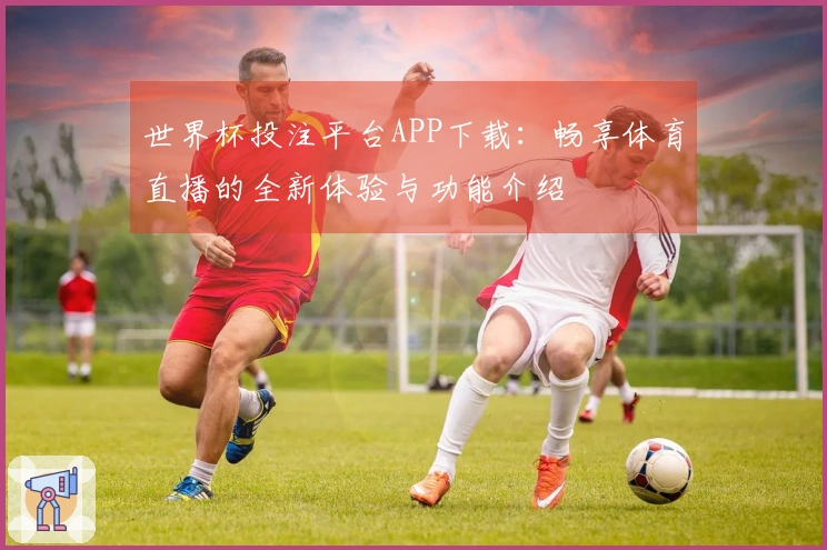 世界杯投注平台APP下载：畅享体育直播的全新体验与功能介绍