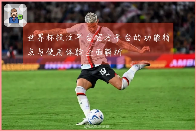 世界杯投注平台官方平台的功能特点与使用体验全面解析