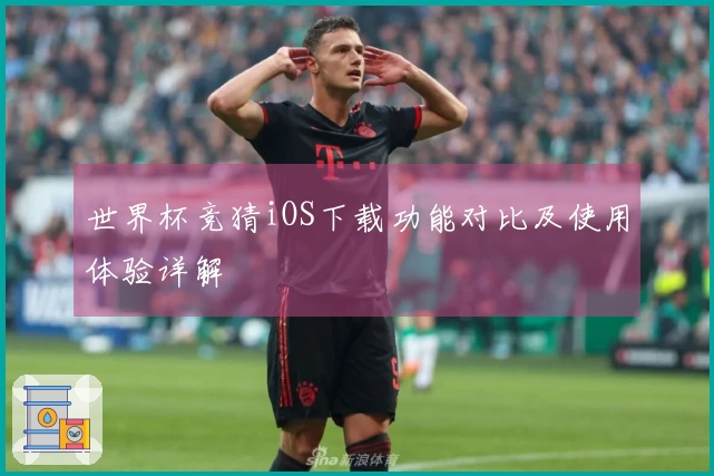 世界杯竞猜iOS下载功能对比及使用体验详解