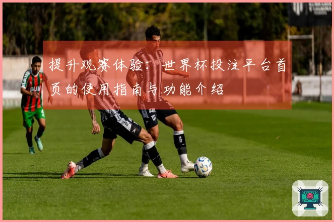 提升观赛体验：世界杯投注平台首页的使用指南与功能介绍