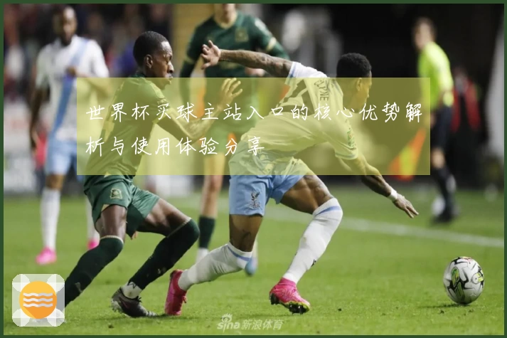 世界杯买球主站入口的核心优势解析与使用体验分享