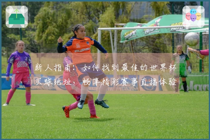 新人指南：如何找到最佳的世界杯买球地址，畅享精彩赛事直播体验