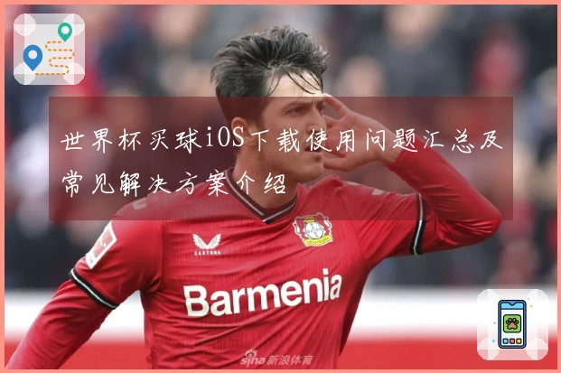 世界杯买球iOS下载使用问题汇总及常见解决方案介绍
