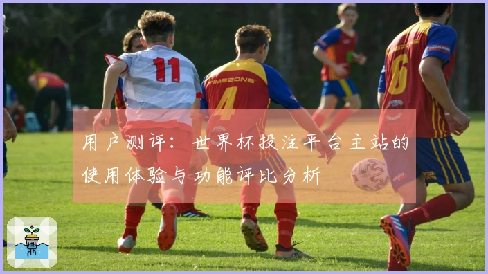 用户测评：世界杯投注平台主站的使用体验与功能评比分析