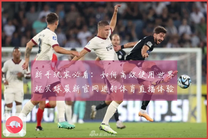 新手玩家必看：如何高效使用世界杯买球最新官网进行体育直播体验