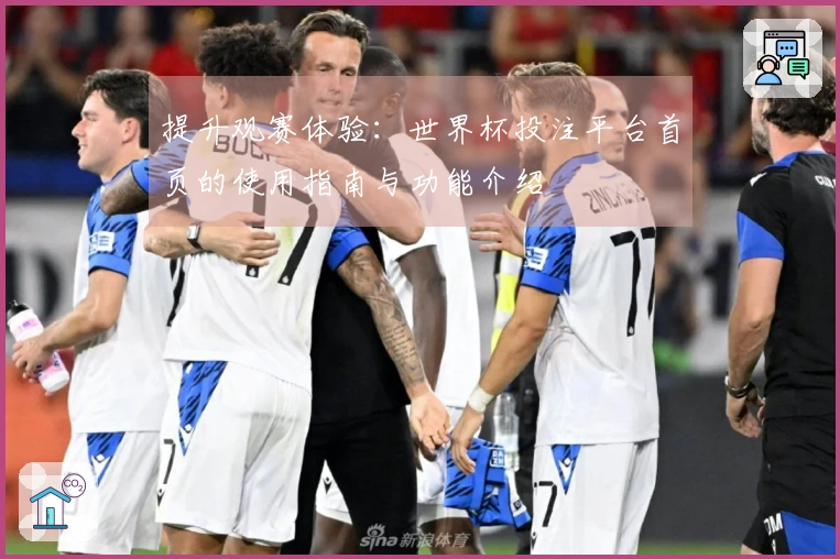 提升观赛体验:世界杯投注平台首页的使用指南与功能介绍