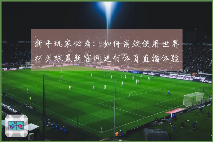 新手玩家必看：如何高效使用世界杯买球最新官网进行体育直播体验